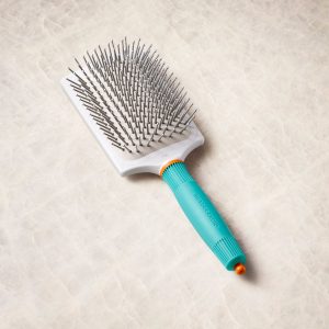 Paddle Brush