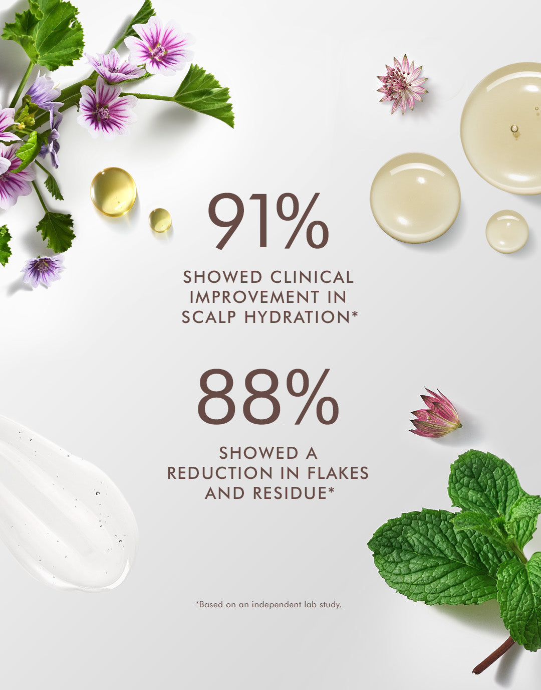 Scalp Balancing Shampoo - Image 3